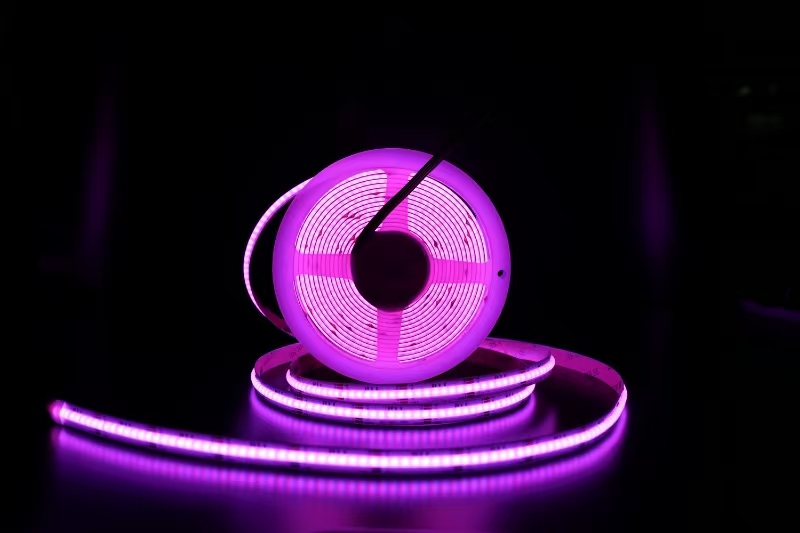 24V-10MM-768灯 常规rgb